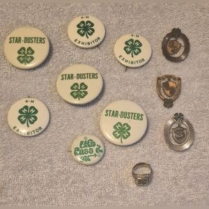 Vintage 4-H Memorabilia Lot Star-Dusters Exhibitor Pins Buttons Ring